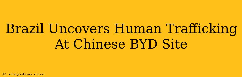 Brazil Uncovers Human Trafficking At Chinese BYD Site