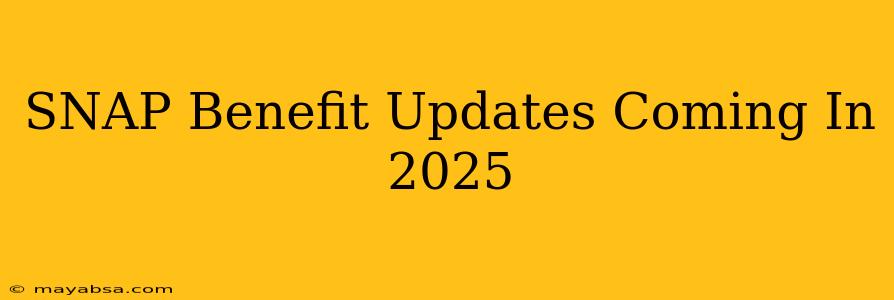 SNAP Benefit Updates Coming In 2025