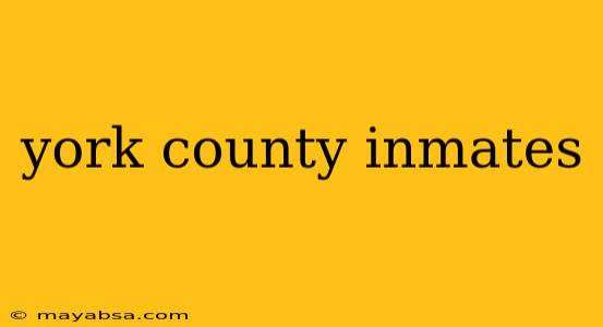 york county inmates